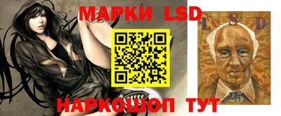молекула духа Заводоуковск