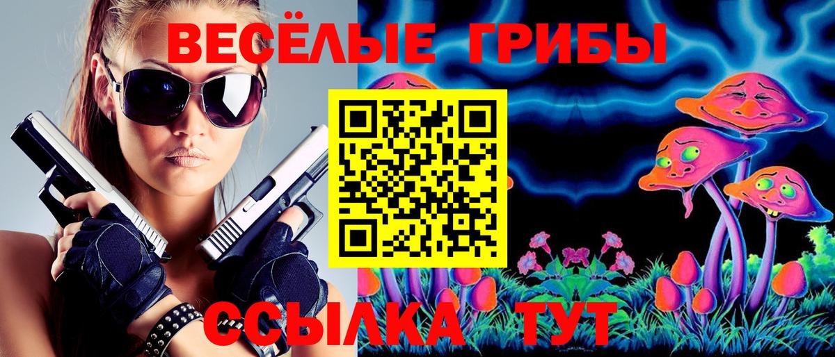 Галлюциногенные грибы Psilocybe Миллерово